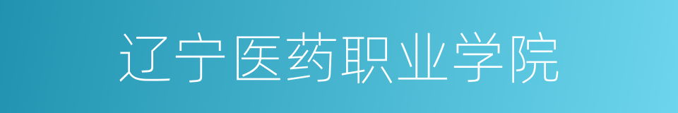 辽宁医药职业学院的同义词