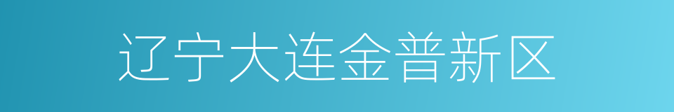 辽宁大连金普新区的同义词