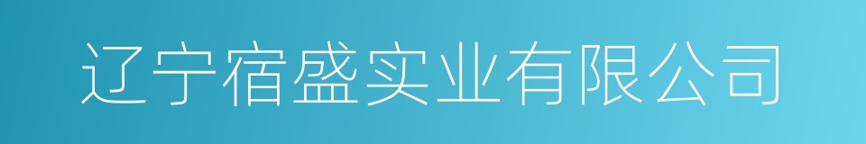 辽宁宿盛实业有限公司的同义词