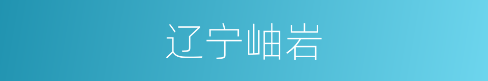 辽宁岫岩的同义词