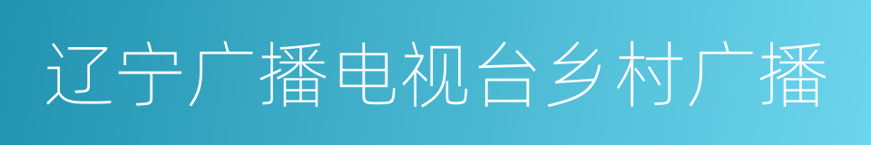 辽宁广播电视台乡村广播的同义词