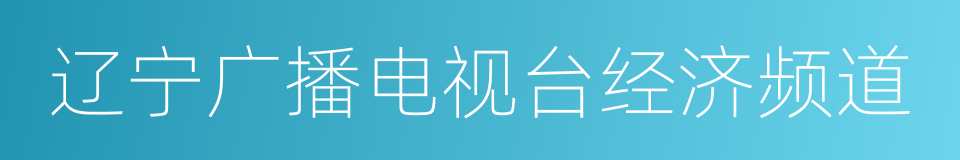 辽宁广播电视台经济频道的同义词