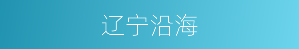 辽宁沿海的同义词