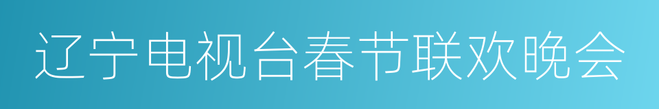 辽宁电视台春节联欢晚会的同义词