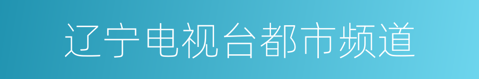 辽宁电视台都市频道的同义词