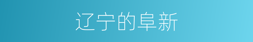 辽宁的阜新的同义词