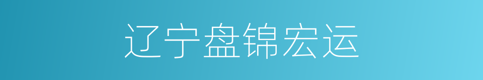 辽宁盘锦宏运的同义词