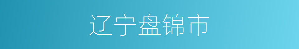 辽宁盘锦市的同义词