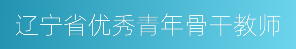 辽宁省优秀青年骨干教师的同义词