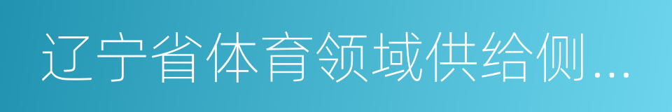 辽宁省体育领域供给侧结构性改革实施方案的同义词