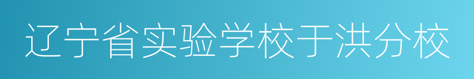 辽宁省实验学校于洪分校的同义词