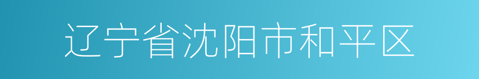 辽宁省沈阳市和平区的同义词