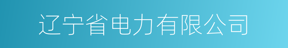 辽宁省电力有限公司的同义词