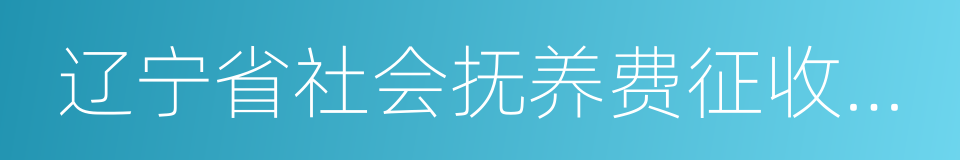 辽宁省社会抚养费征收管理实施办法的同义词