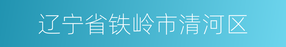 辽宁省铁岭市清河区的同义词