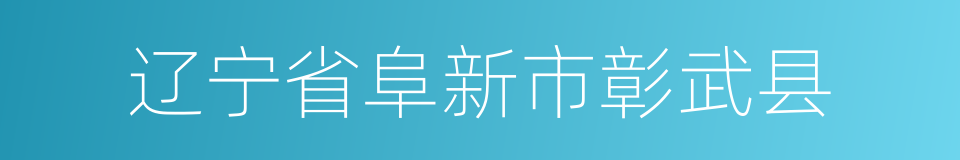 辽宁省阜新市彰武县的同义词