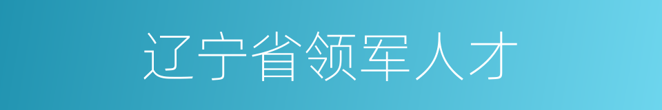 辽宁省领军人才的同义词