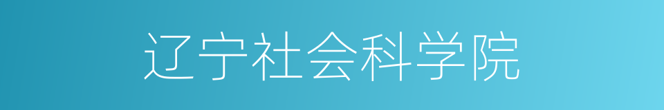 辽宁社会科学院的同义词