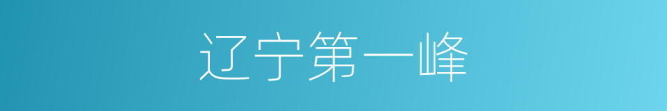 辽宁第一峰的同义词