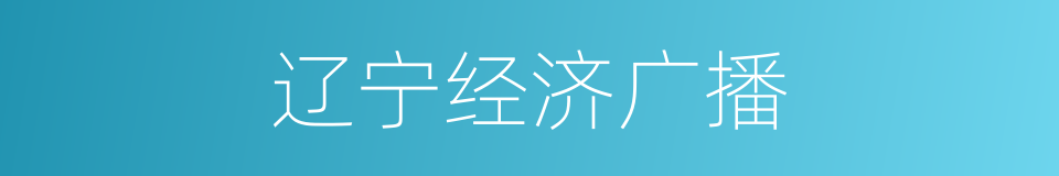 辽宁经济广播的同义词