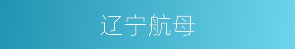 辽宁航母的同义词