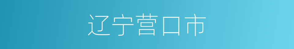 辽宁营口市的同义词