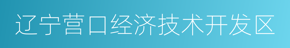 辽宁营口经济技术开发区的同义词