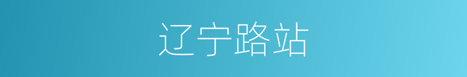 辽宁路站的同义词