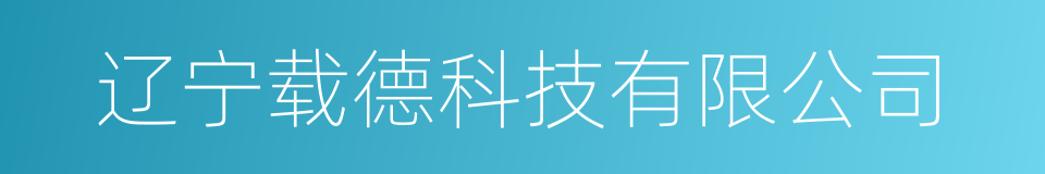辽宁载德科技有限公司的同义词