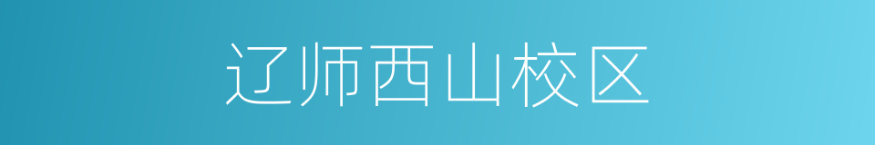 辽师西山校区的同义词