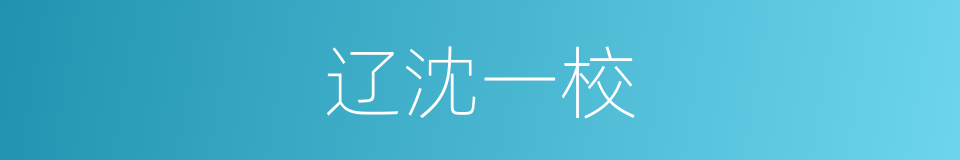 辽沈一校的同义词