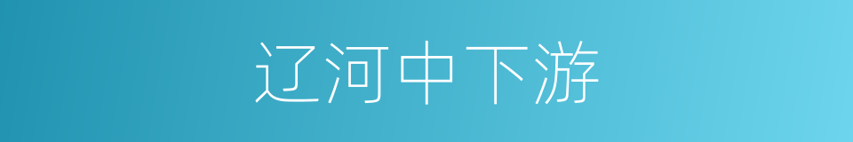 辽河中下游的同义词