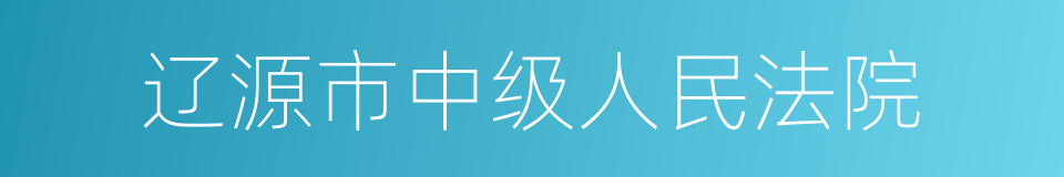 辽源市中级人民法院的同义词