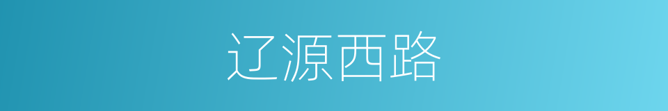 辽源西路的同义词