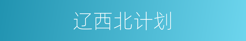 辽西北计划的同义词