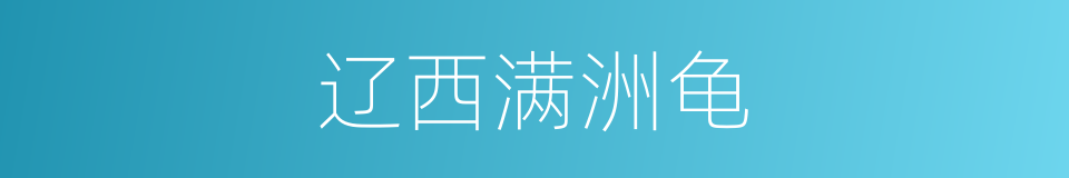 辽西满洲龟的同义词