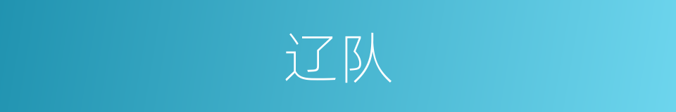 辽队的意思