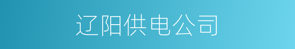辽阳供电公司的同义词