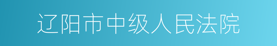 辽阳市中级人民法院的同义词