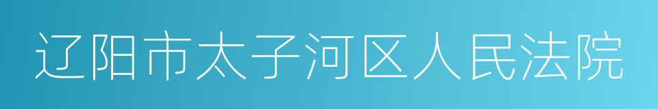辽阳市太子河区人民法院的同义词