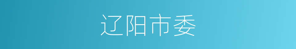 辽阳市委的同义词