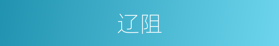 辽阻的意思