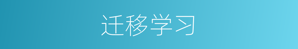 迁移学习的同义词