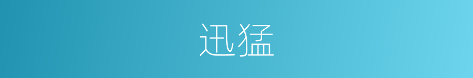 迅猛的意思