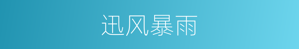 迅风暴雨的意思