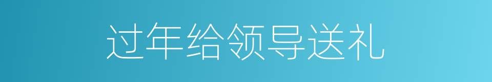 过年给领导送礼的同义词