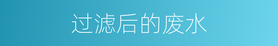 过滤后的废水的同义词