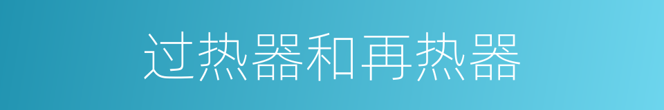 过热器和再热器的同义词
