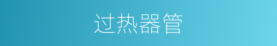 过热器管的同义词