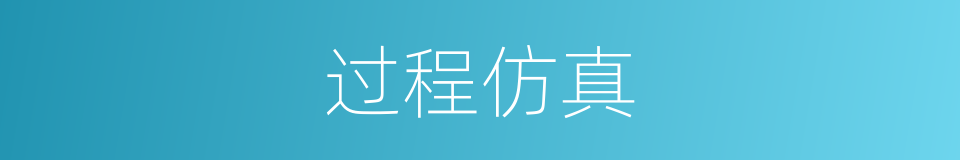 过程仿真的同义词